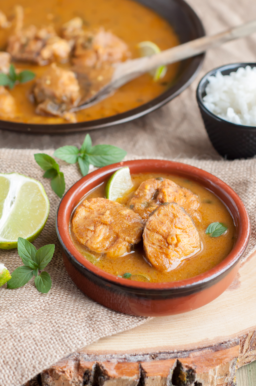 Fish Curry - GastroSenses