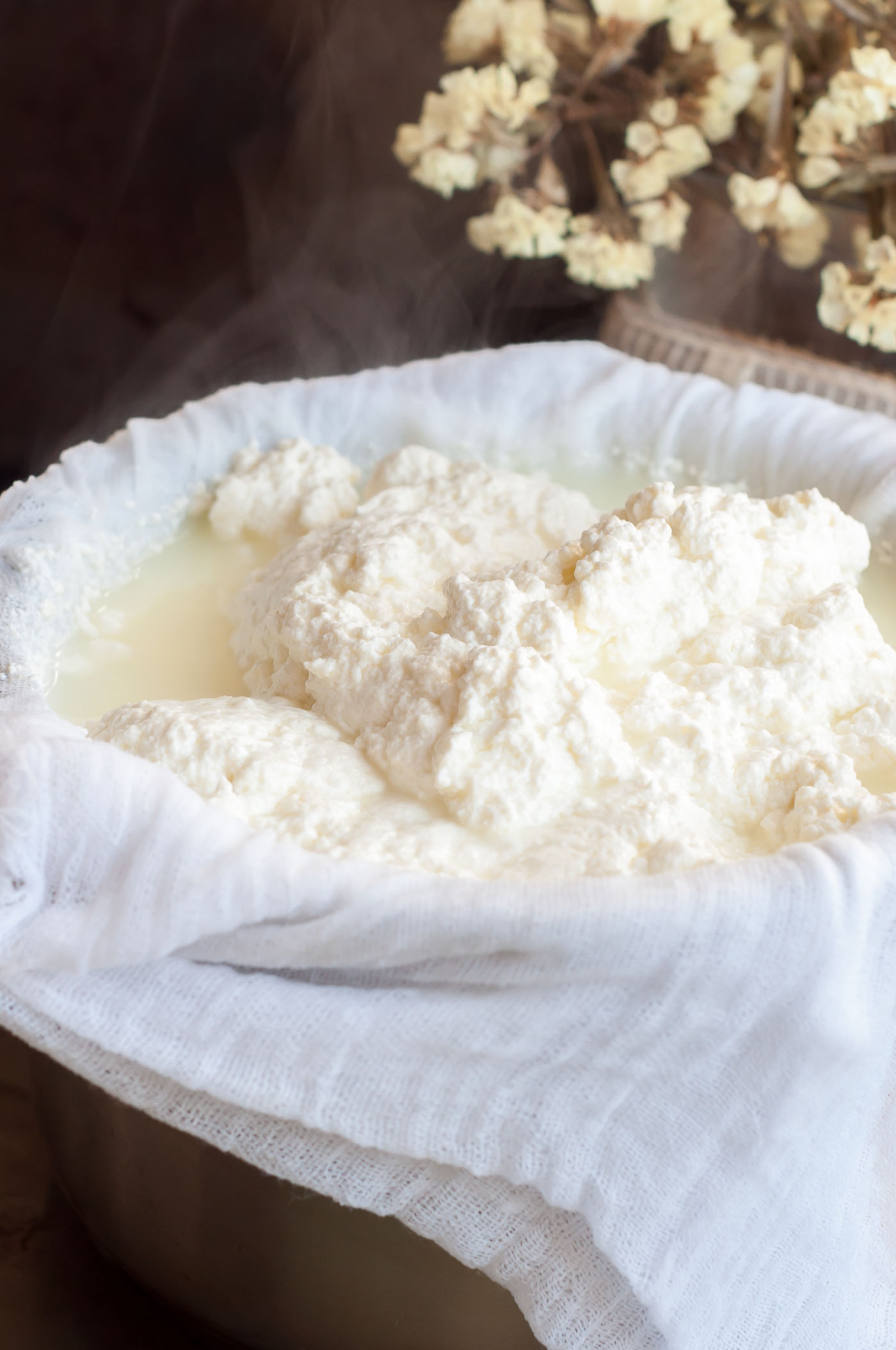 Homemade Creamy Ricotta Cheese - GastroSenses